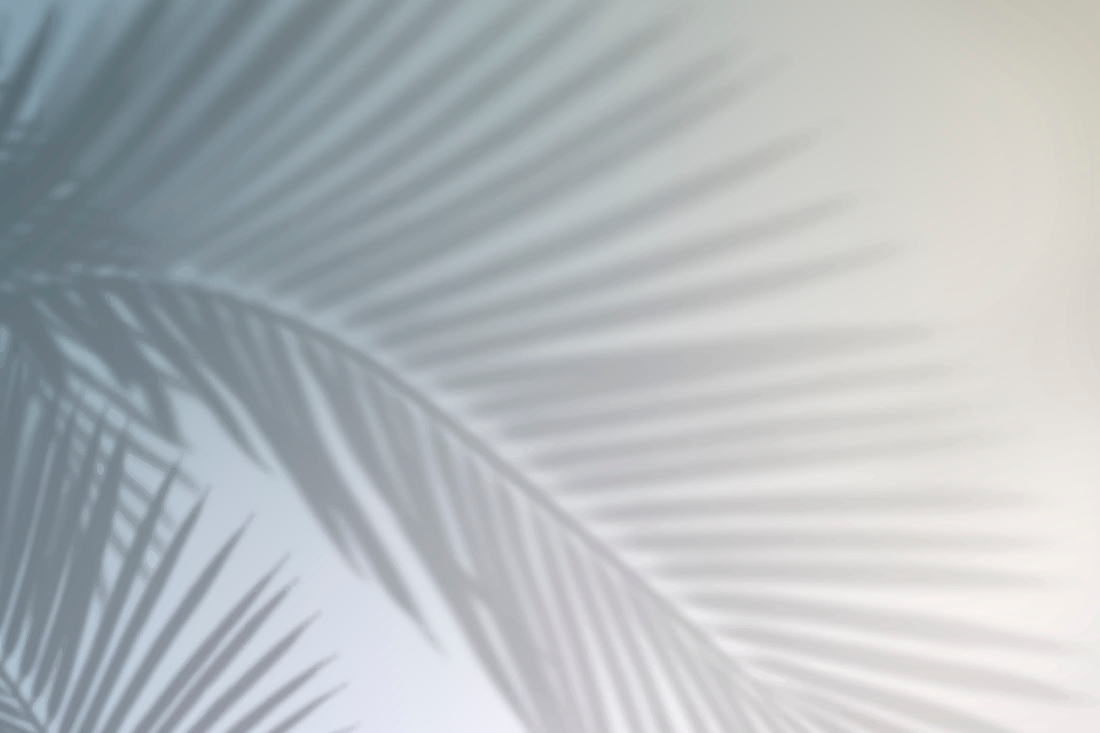 Background for About Church