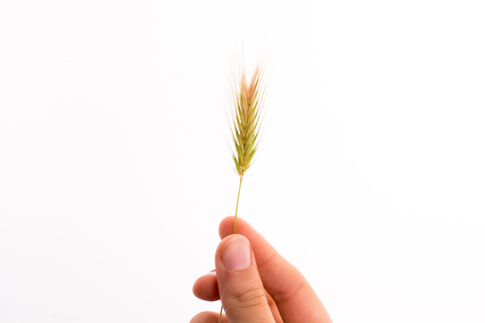 Background share block