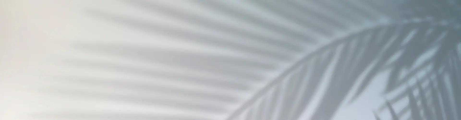 Preview section picture